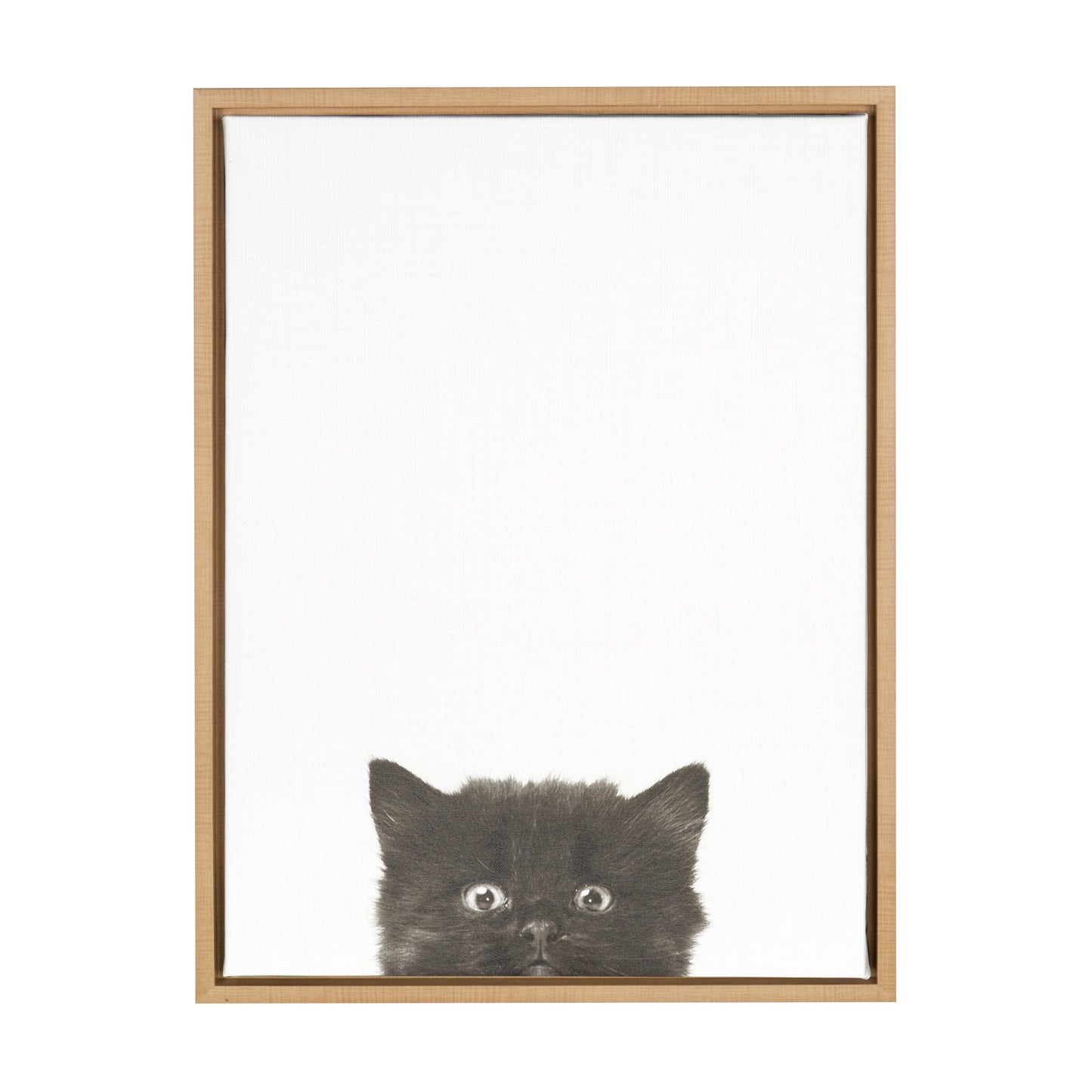 Sylvie Black Kitten Framed Canvas by Simon Te of Tai Prints