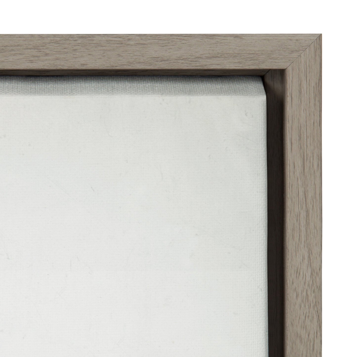Sylvie Succulent 5 Framed Canvas by F2 Images