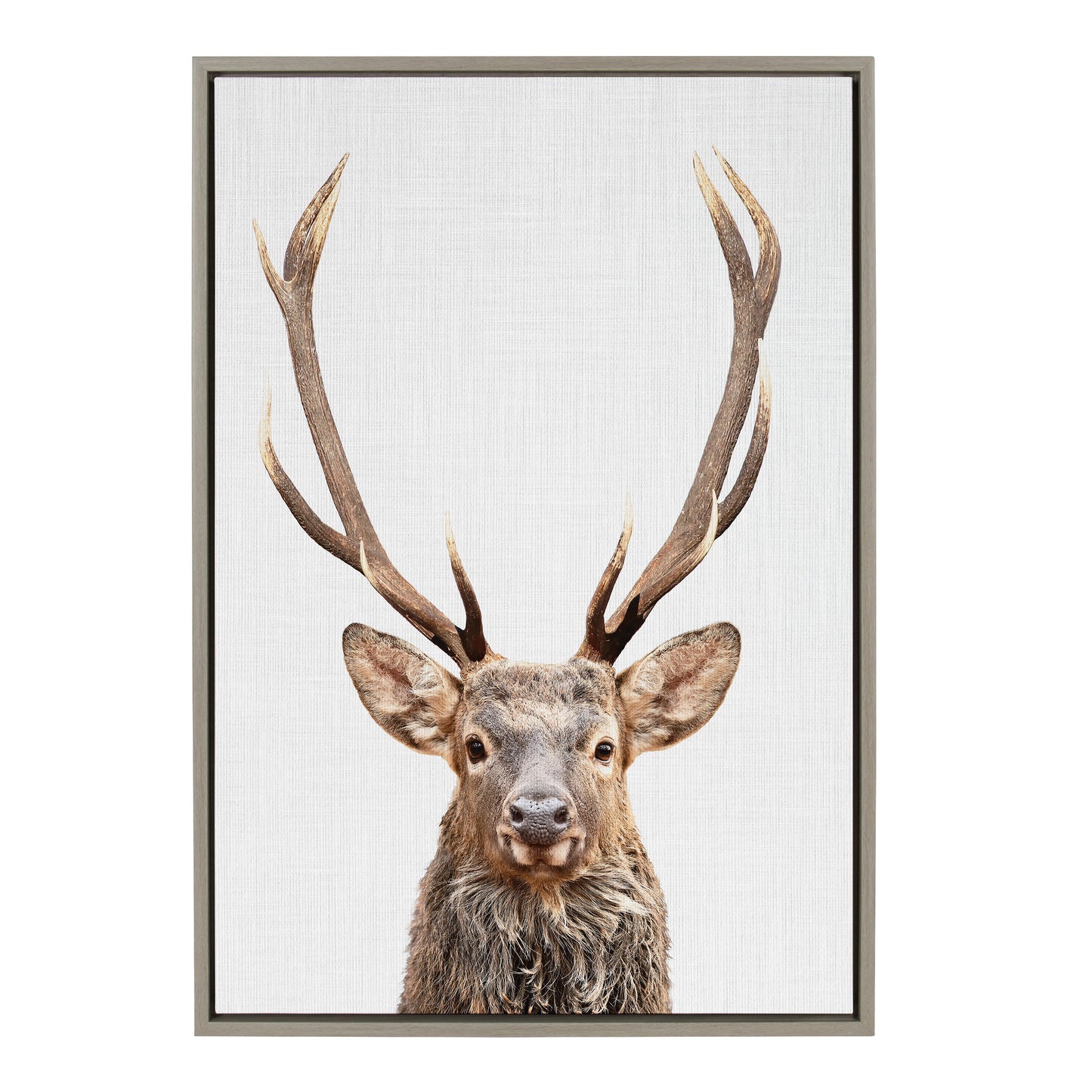 Sylvie The Red Deer Color Framed Canvas by Simon Te of Tai Prints