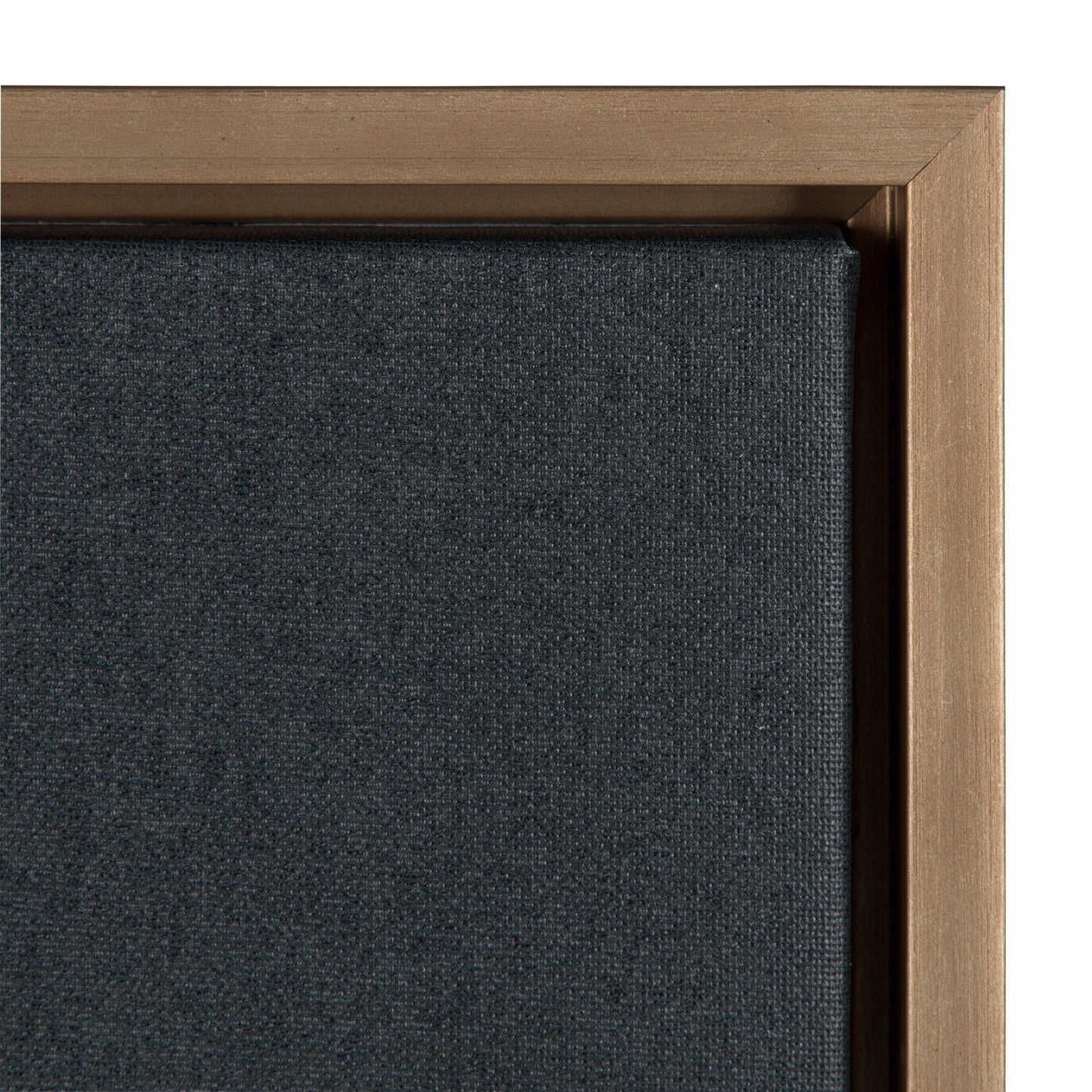 Sylvie Succulent Framed Canvas by F2 Images