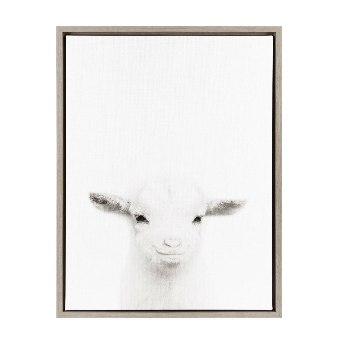Sylvie Baby Goat Framed Canvas by Simon Te Tai