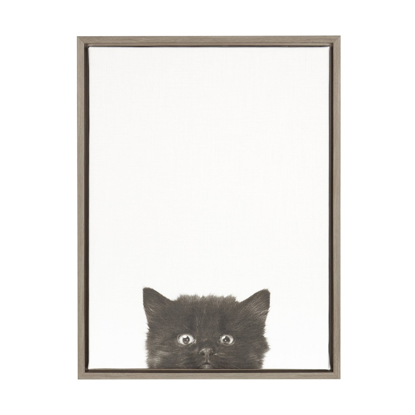 Sylvie Black Kitten Framed Canvas by Simon Te of Tai Prints