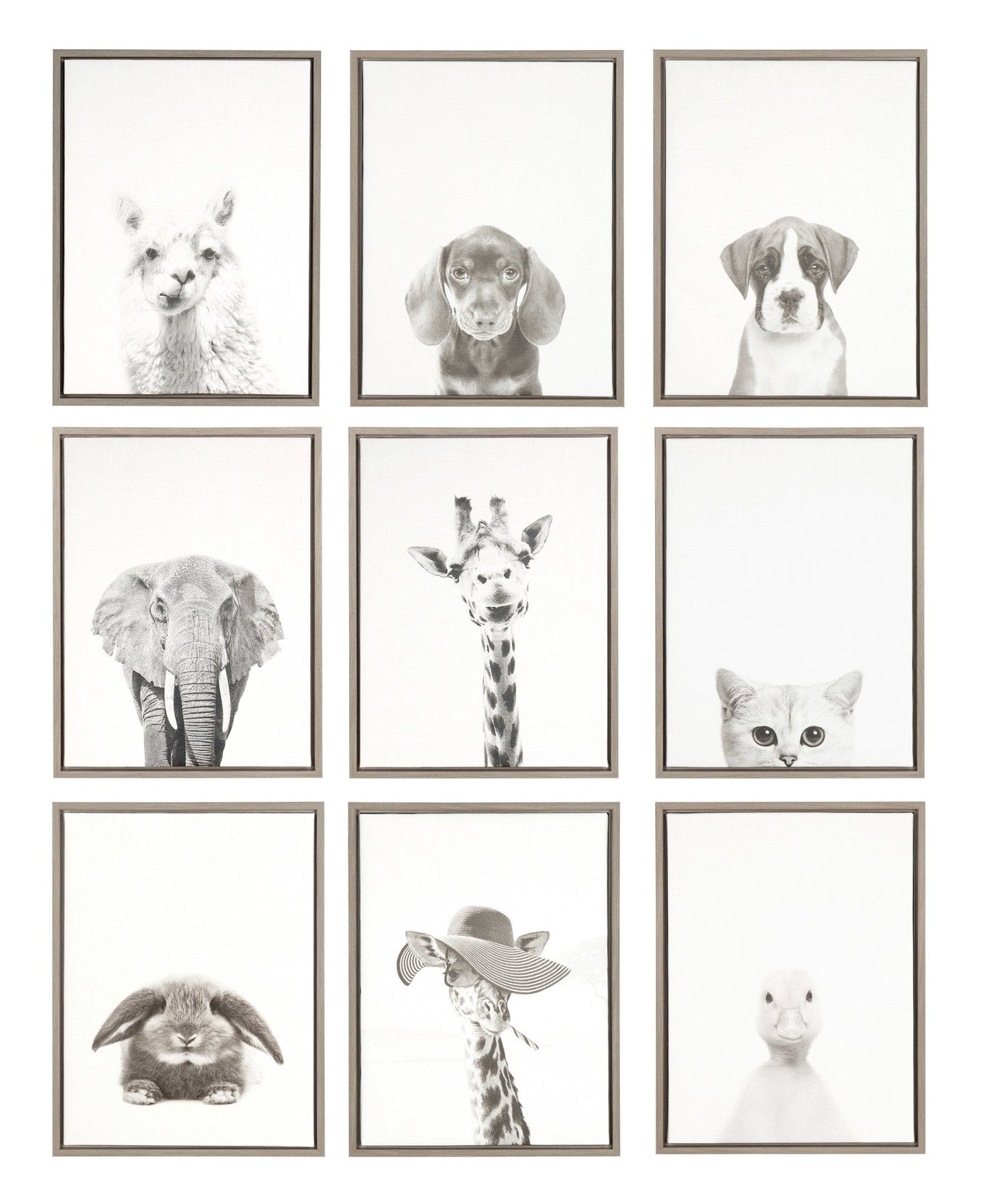 Sylvie Sarifa Giraffe Framed Canvas by Simon Te of Tai Prints