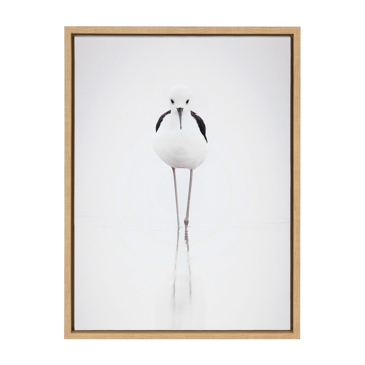 Sylvie Seagull Framed Canvas by Tai Prints