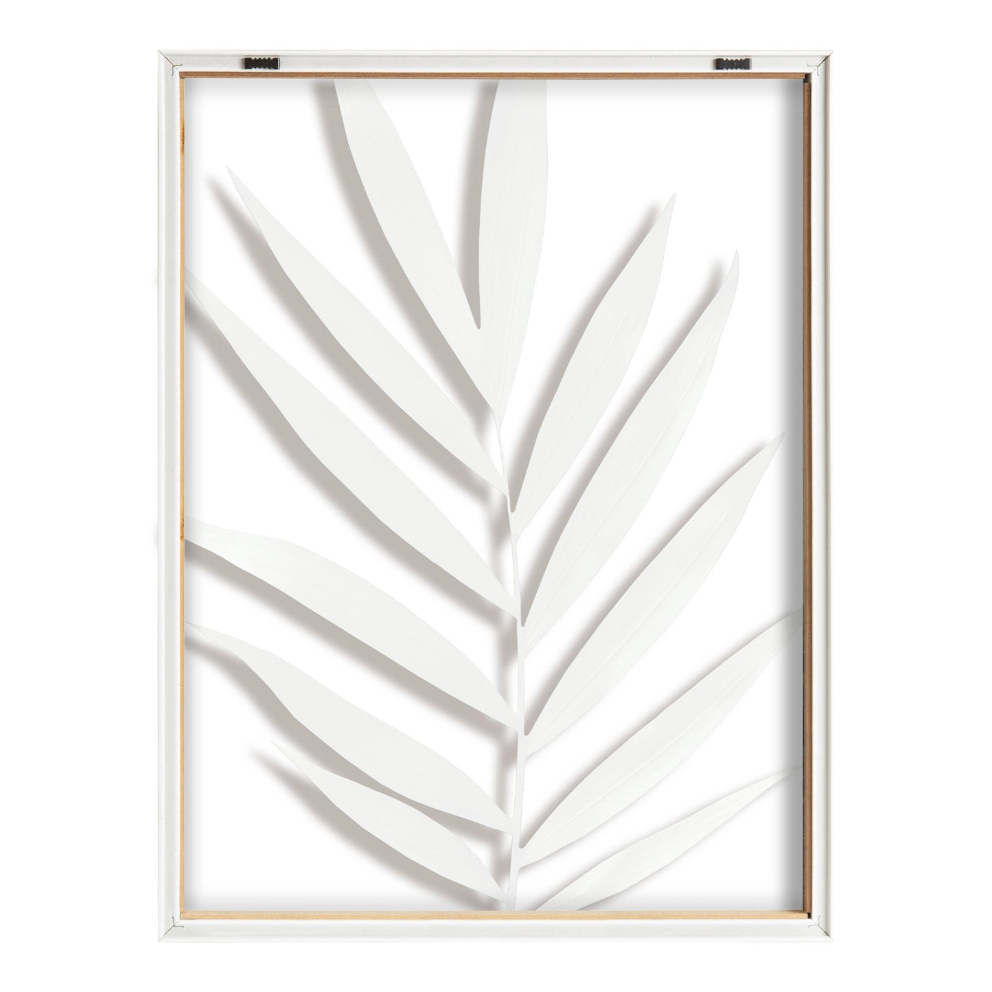 Blake Botanical 5F Framed Printed Glass by Amy Peterson