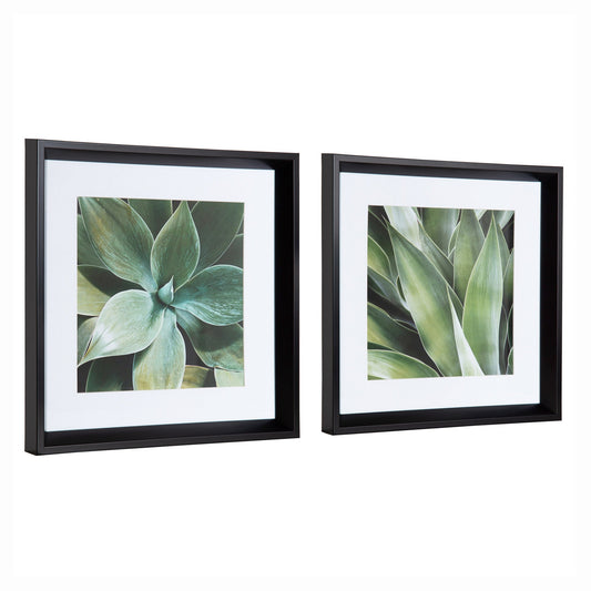 Calter Succulent Leaves Framed Print Art Set by Amy Peterson
