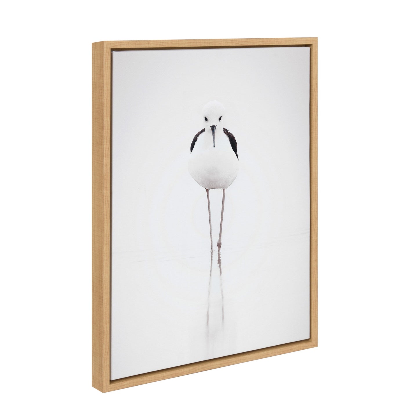 Sylvie Seagull Framed Canvas by Tai Prints