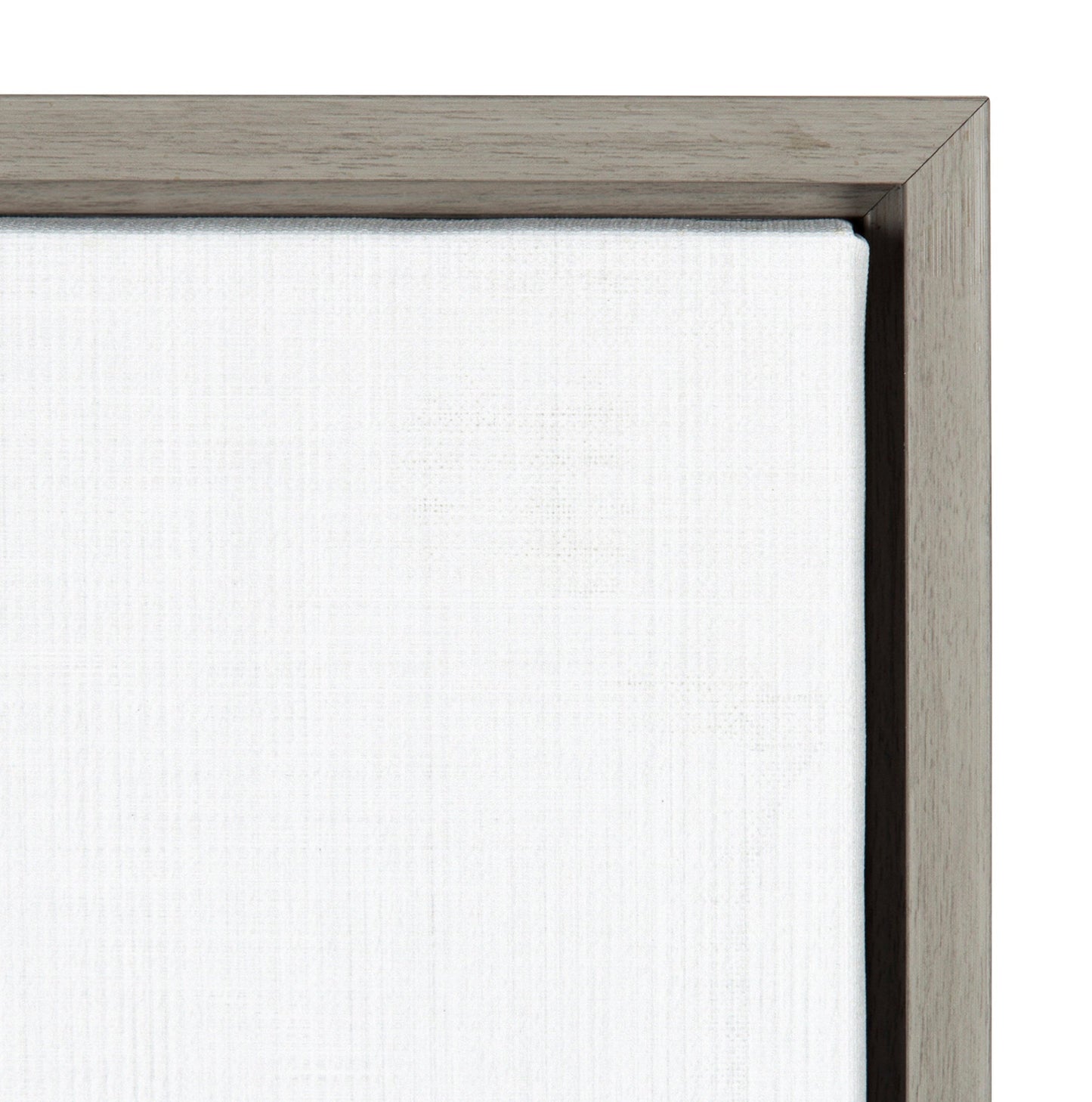 Sylvie Llama Framed Canvas by Simon Te Tai