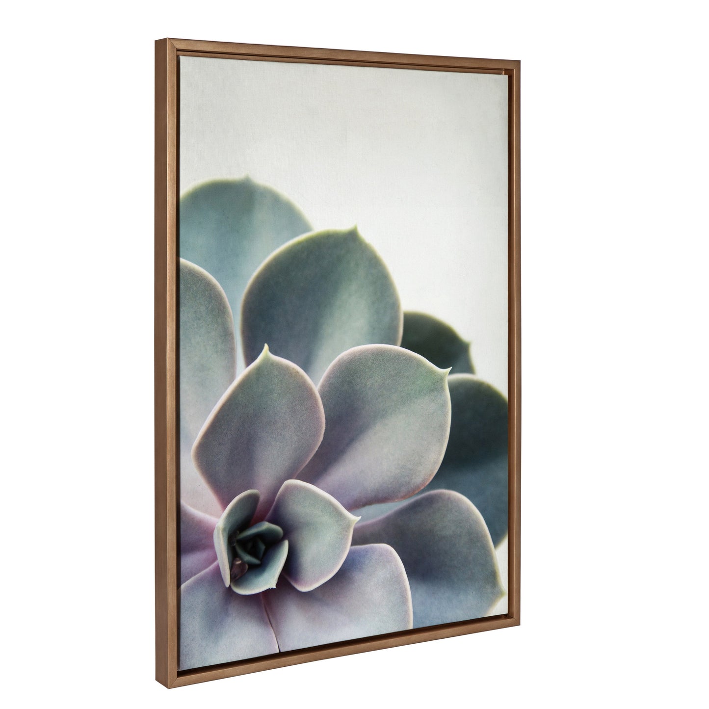 Sylvie Succulent 5 Framed Canvas by F2 Images