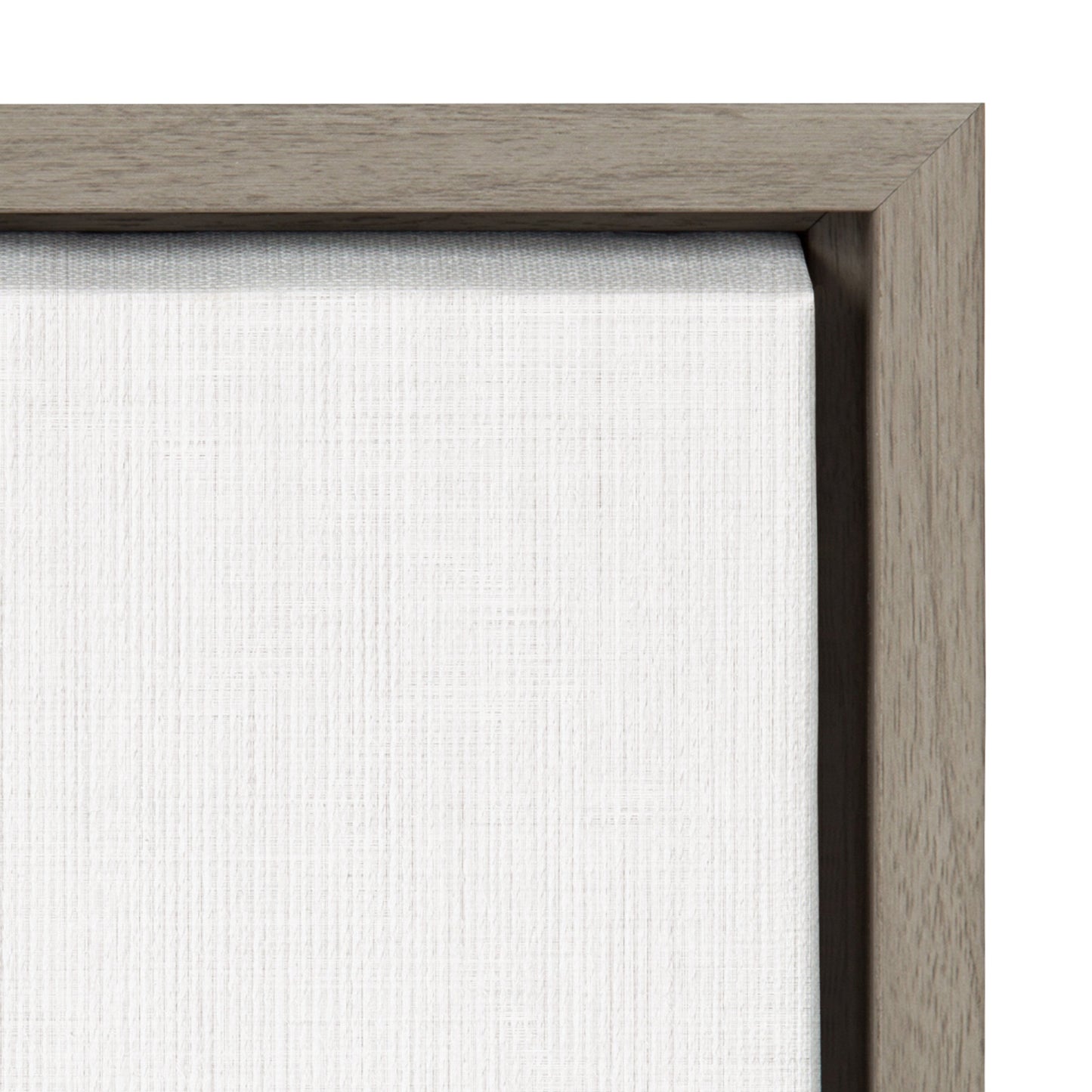 Sylvie Baby Goat Framed Canvas by Simon Te Tai