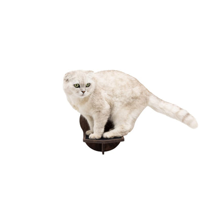 Wooden Cat Step – Dark Walnut