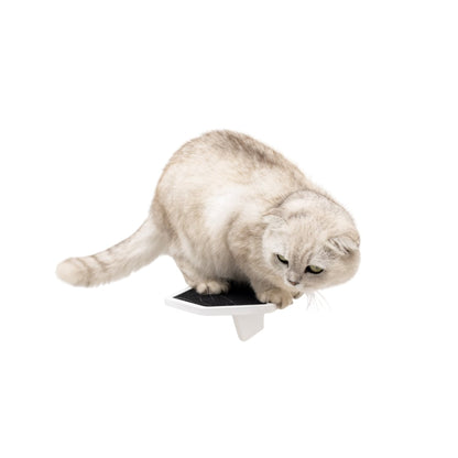 Wooden Cat Step - White