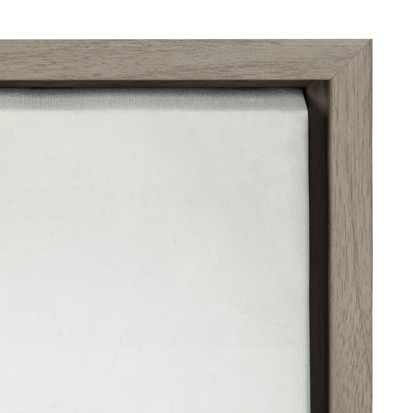 Sylvie Succulent 5 Framed Canvas by F2 Images