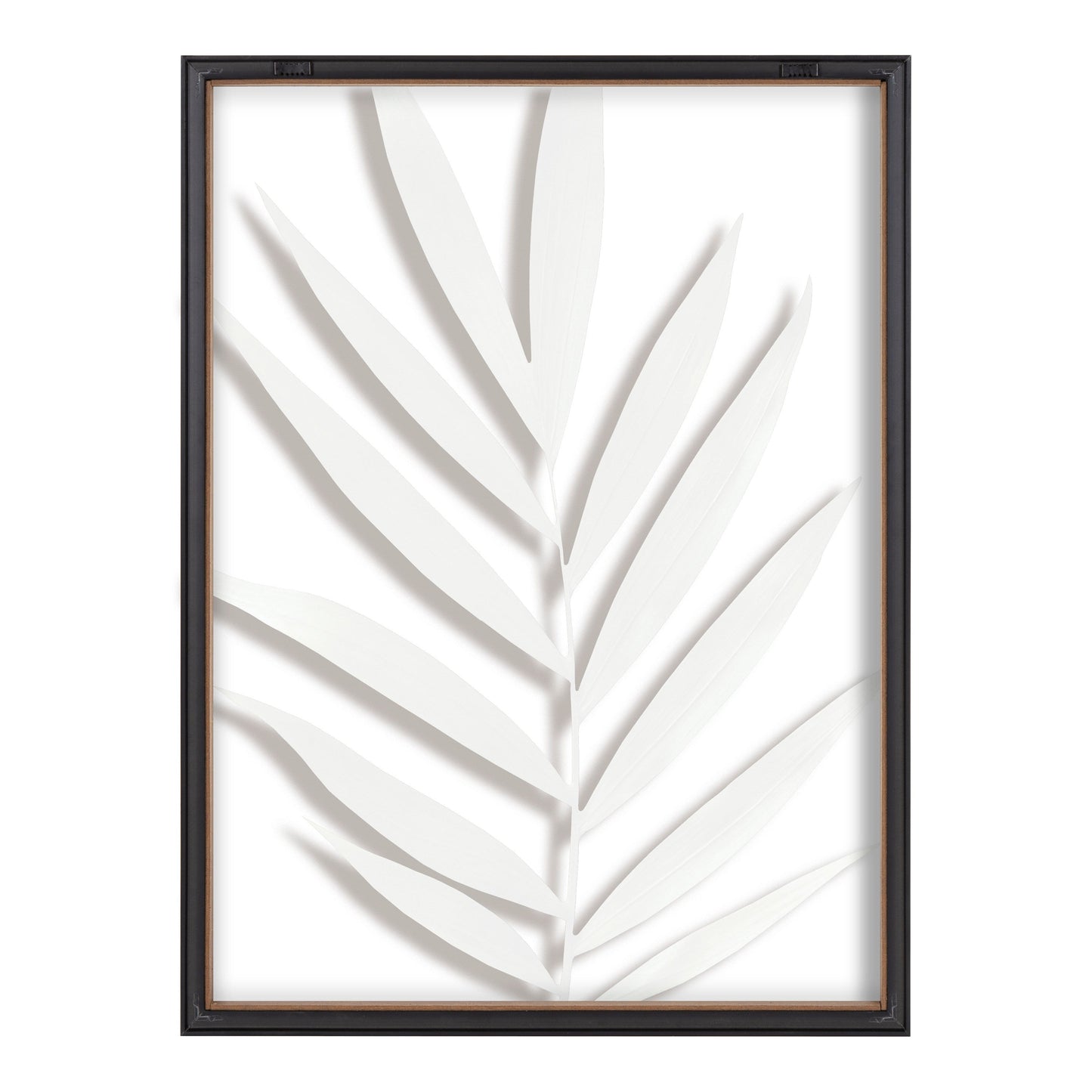 Blake Botanical 5F Framed Printed Glass by Amy Peterson