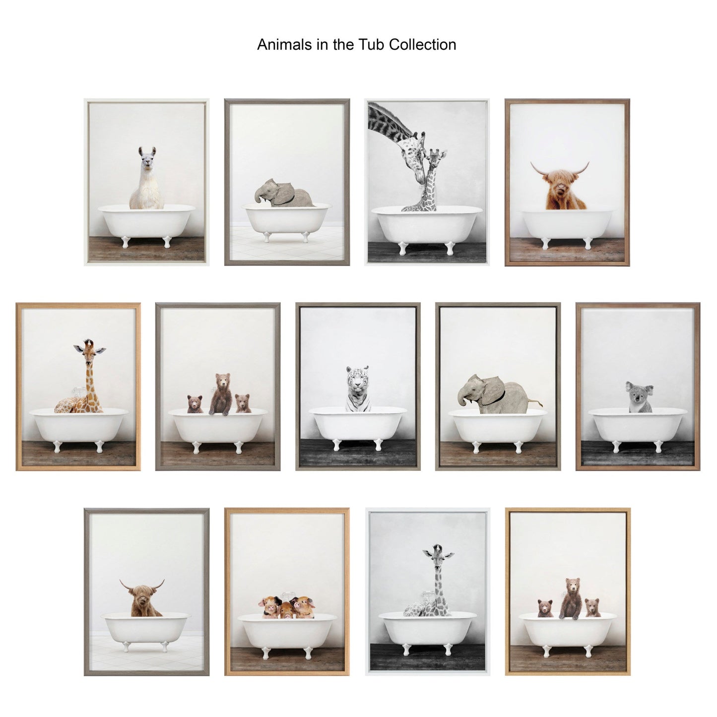 Sylvie Lone Joshua Tree Framed Canvas by Amy Peterson Art Studio