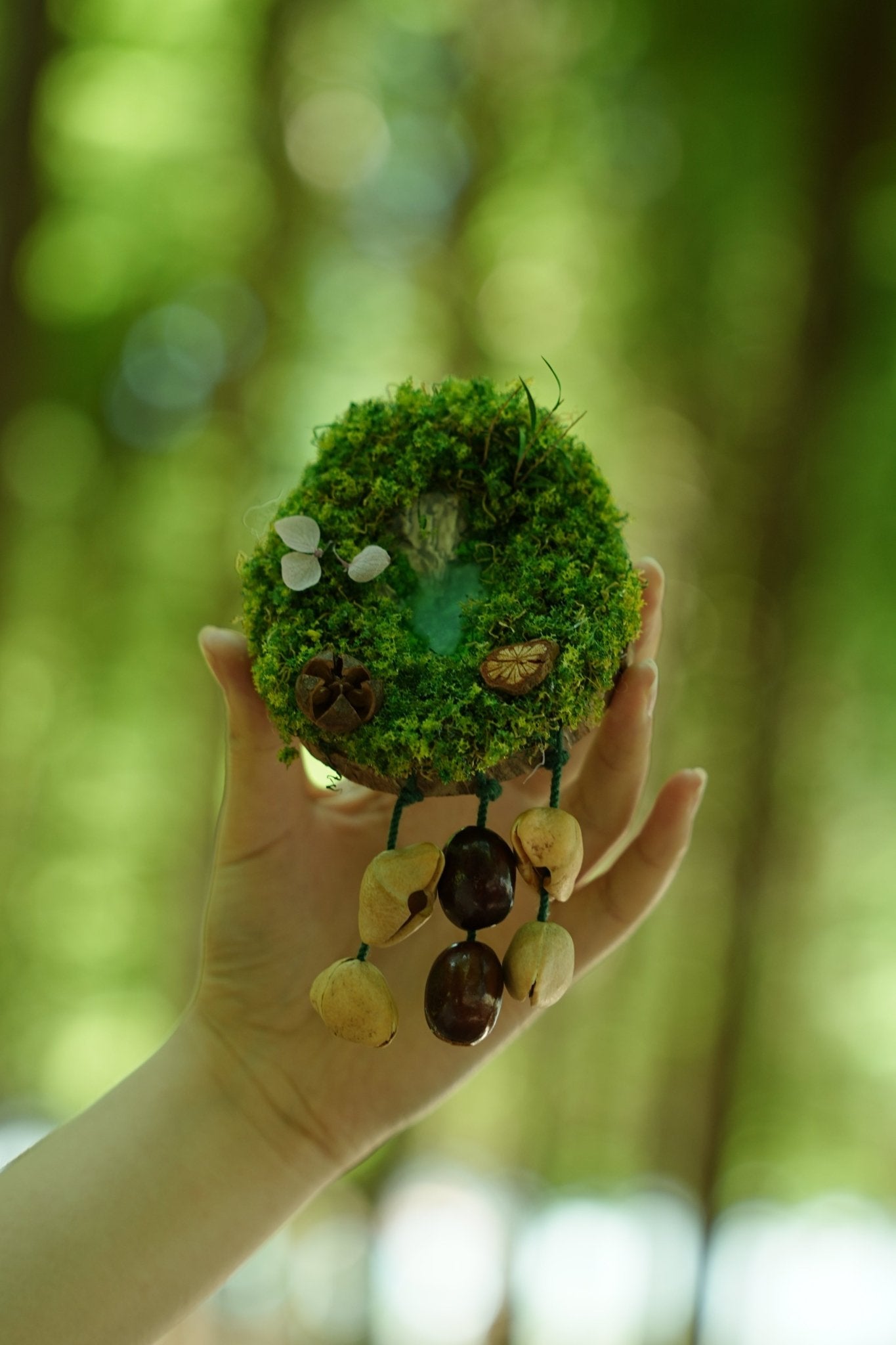 "Acorn Family" Moss Forest Fridge Magnet
