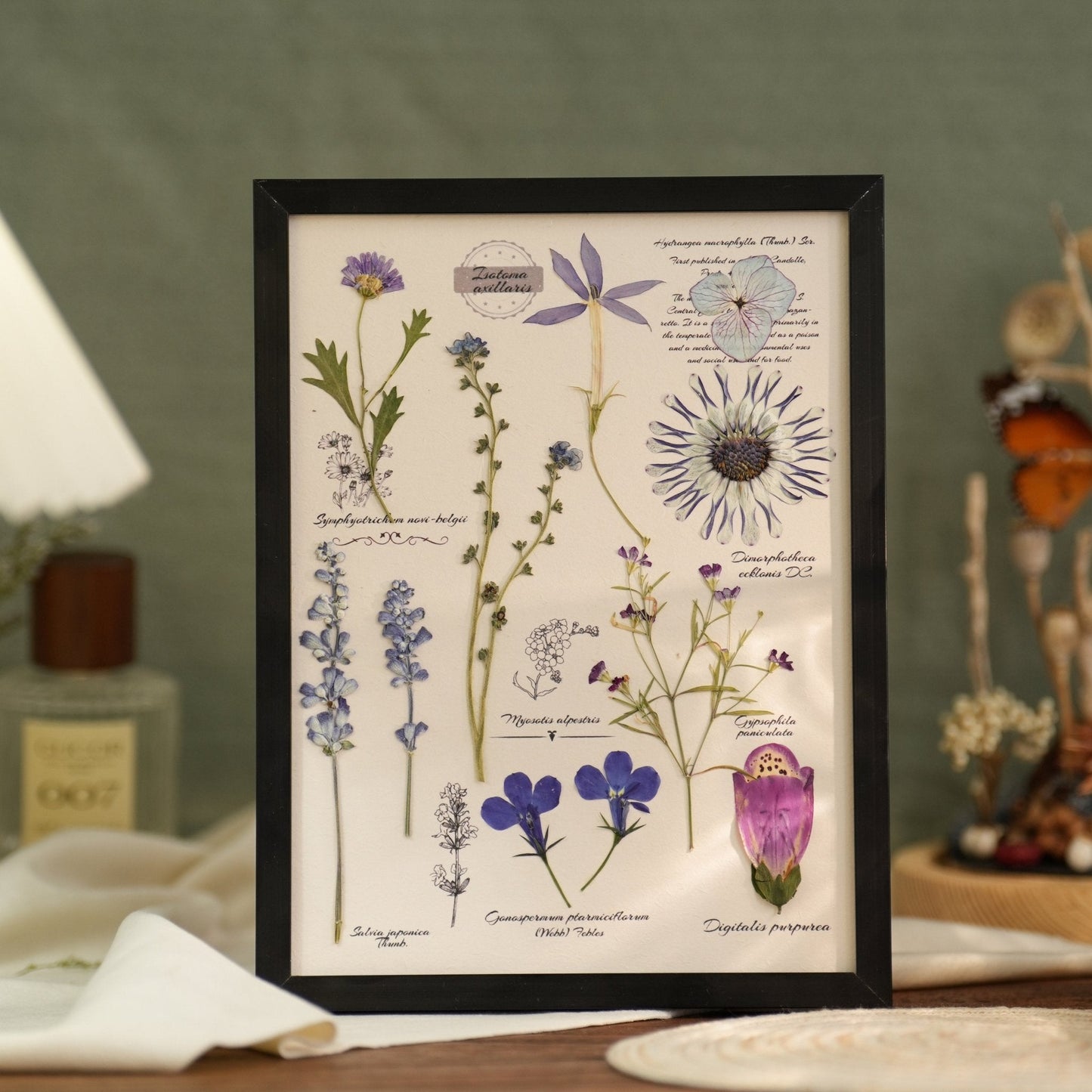 "The Botanist's Journal" Pressed Flower Art Frame