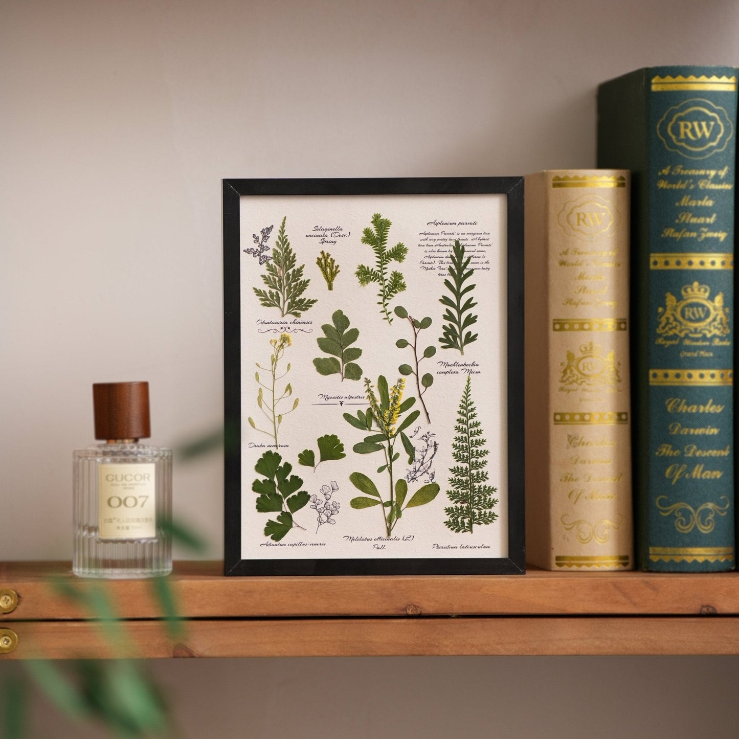 "The Botanist's Journal" Pressed Flower Art Frame