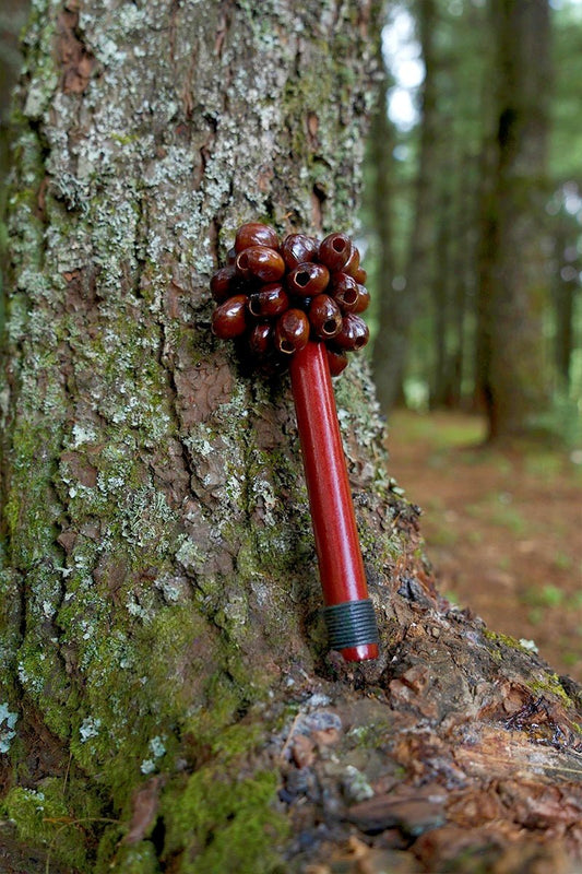 Pala Seed Pod Wooden Handle Shaker