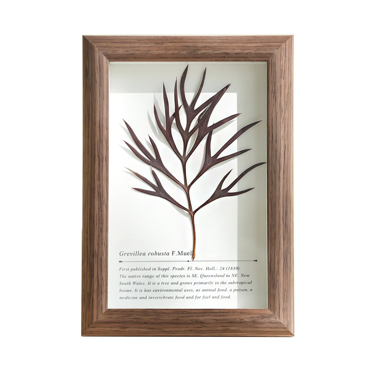 "The Landscape Garden"  Real Flower Shadow Box