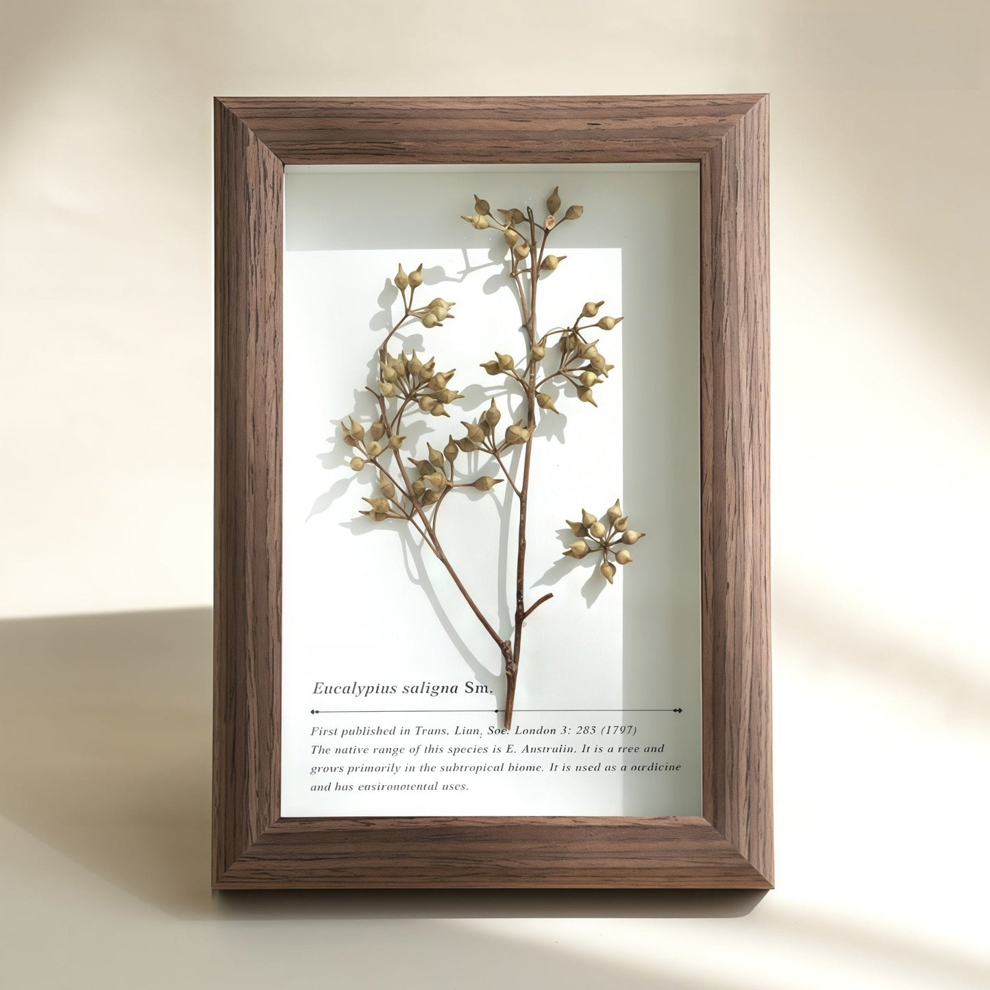 "The Landscape Garden"  Real Flower Shadow Box