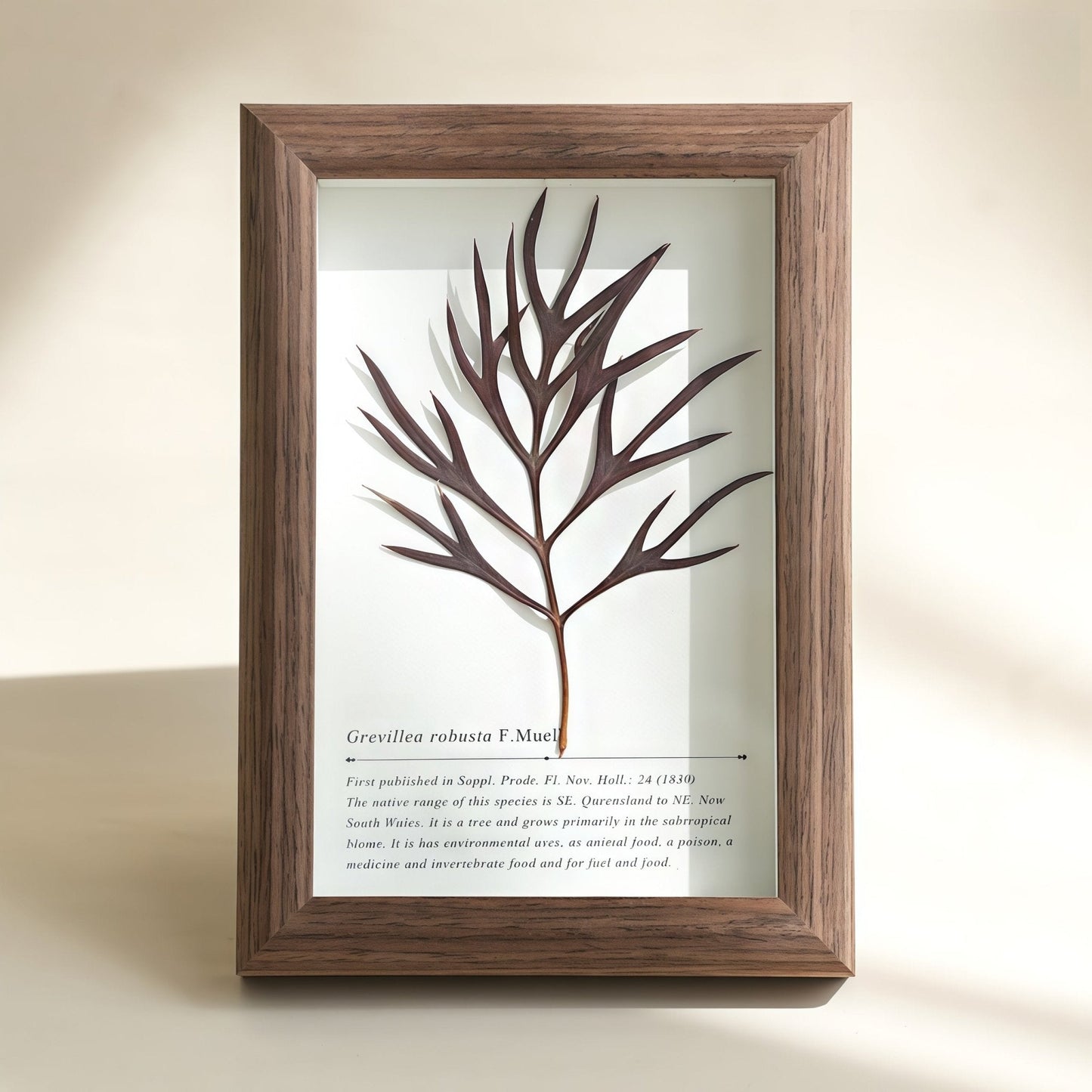 "The Landscape Garden"  Real Flower Shadow Box