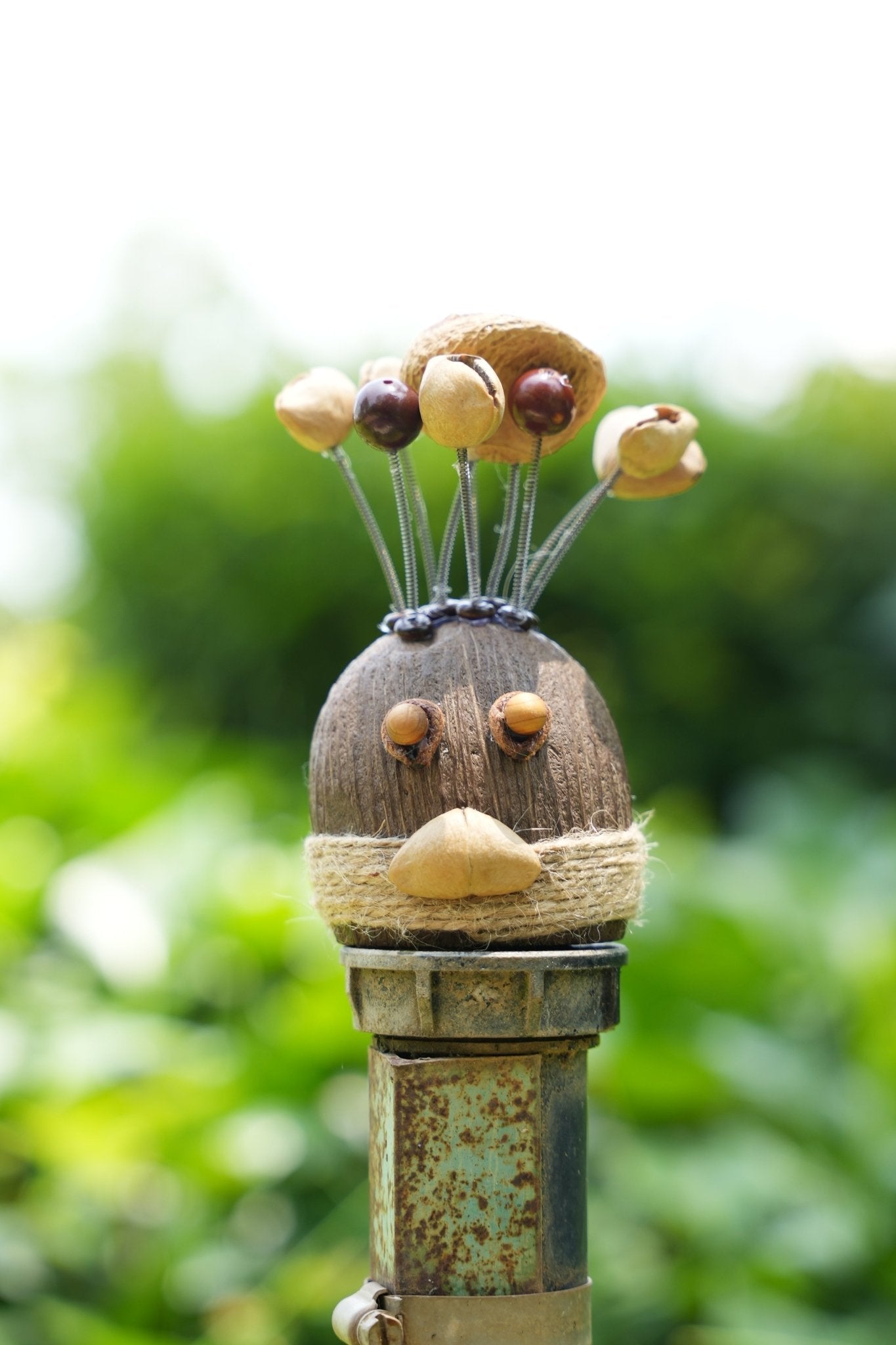 The Crazy Hair Seed Spirit
