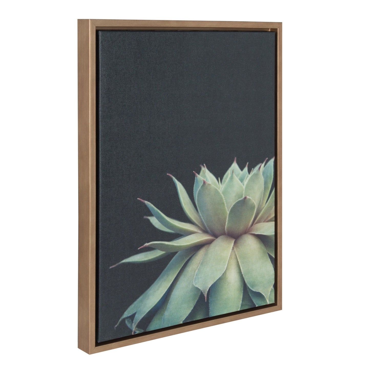 Sylvie Succulent Framed Canvas by F2 Images