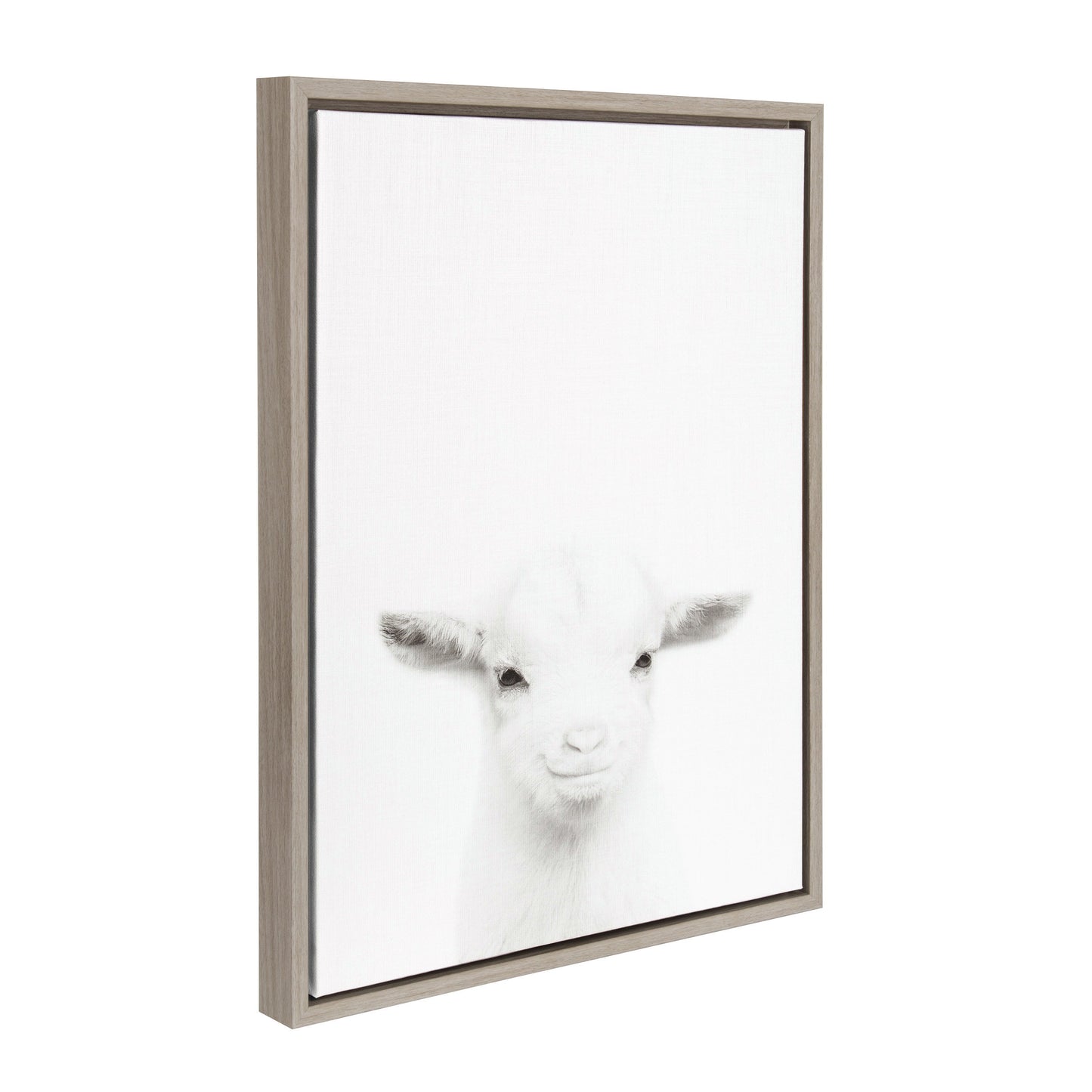 Sylvie Baby Goat Framed Canvas by Simon Te Tai