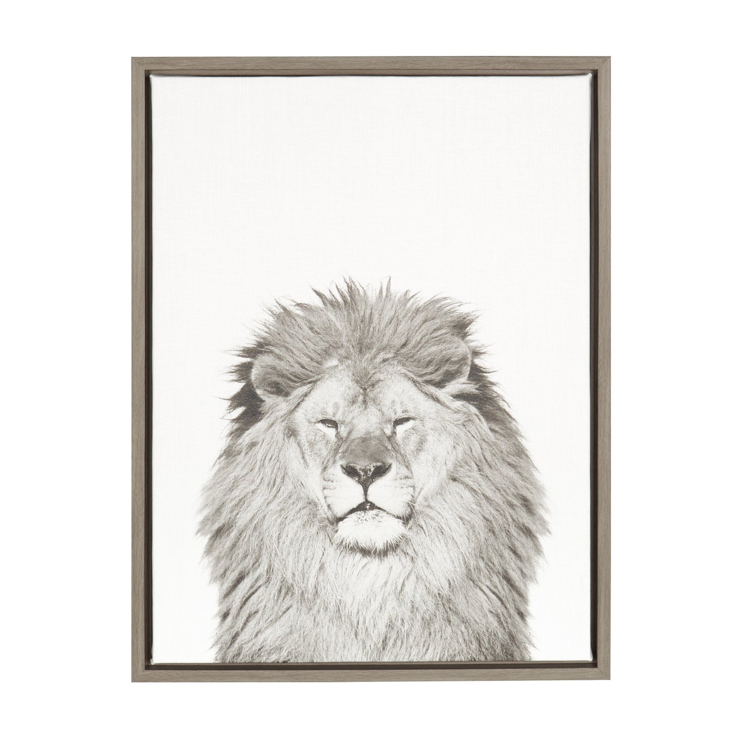 Sylvie Lion Framed Canvas by Simon Te Tai